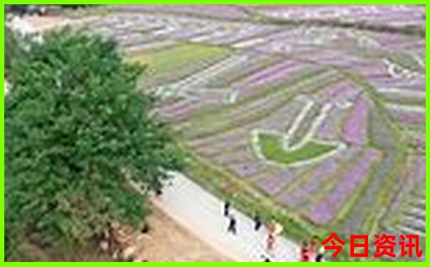 新疆旅游景点有哪些地方